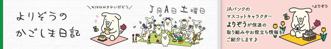 よりぞうのかごしま日記