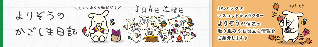 よりぞうのかごしま日記