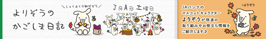 よりぞうのかごしま日記